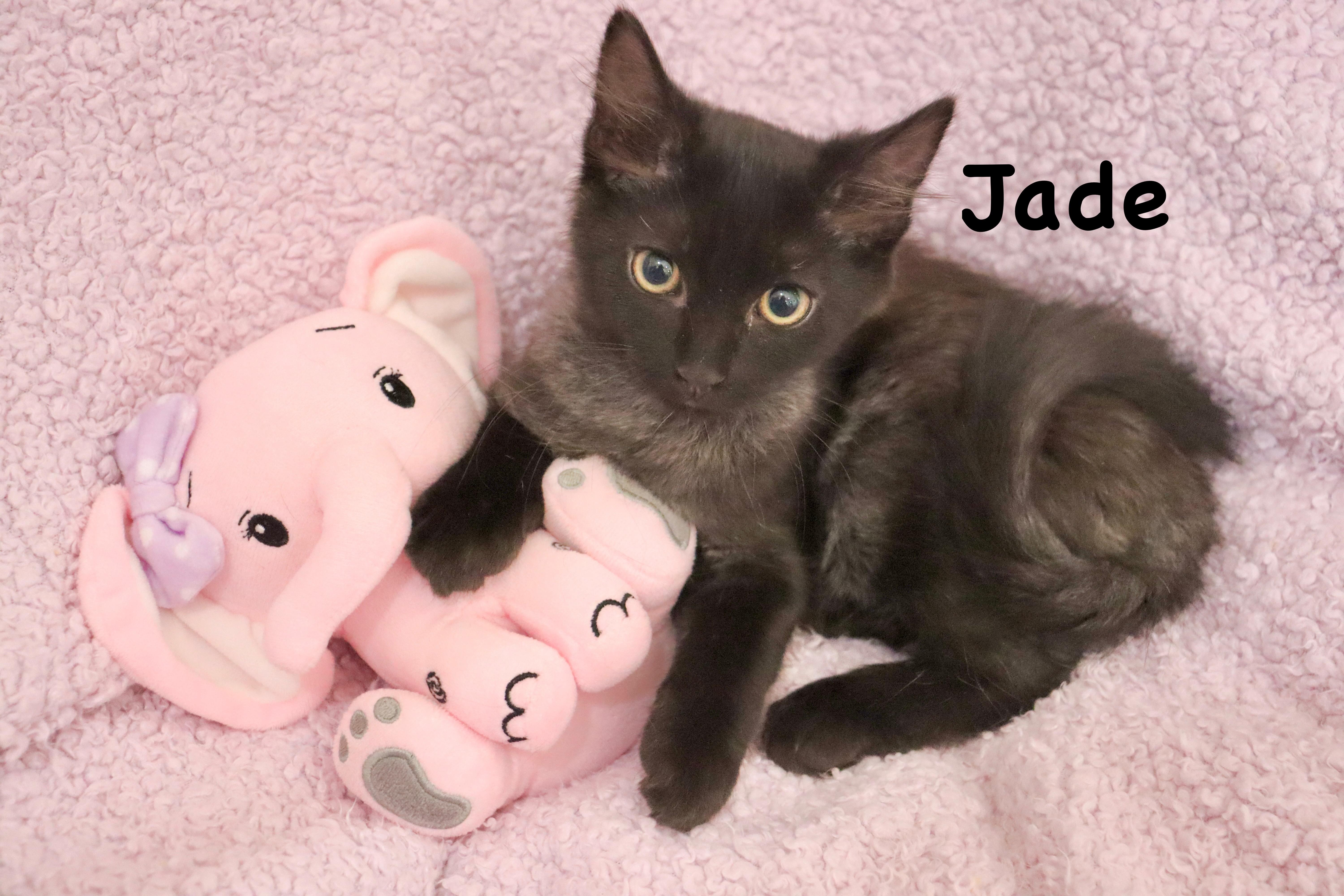 Jade thumbnail 6