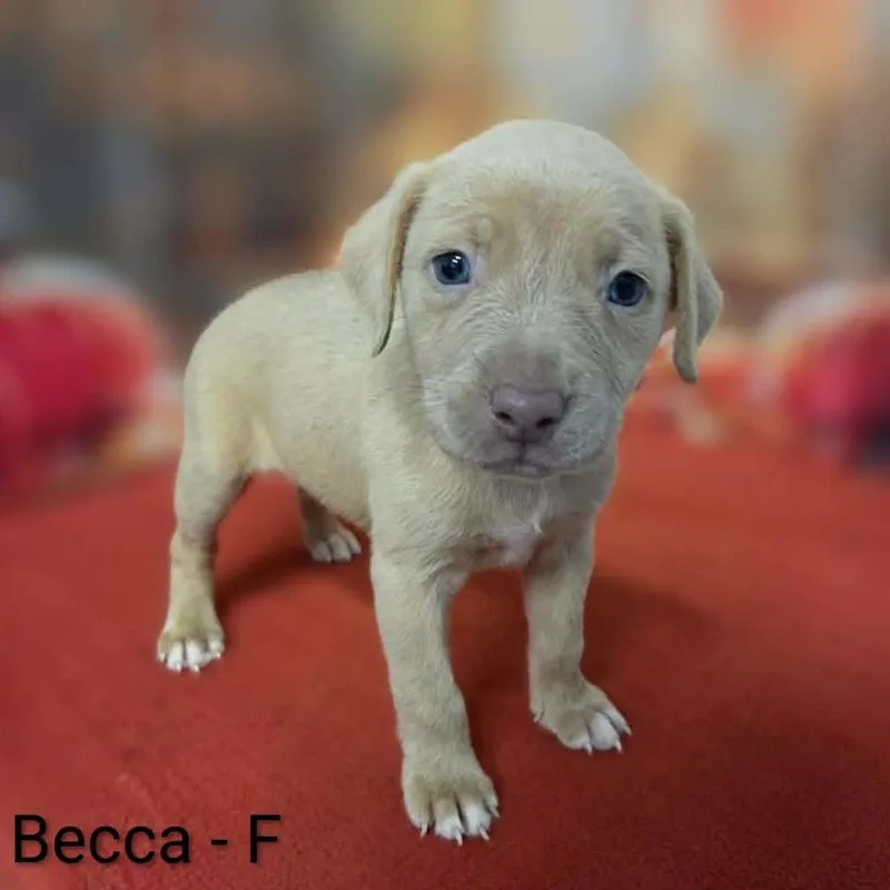 Becca thumbnail 2