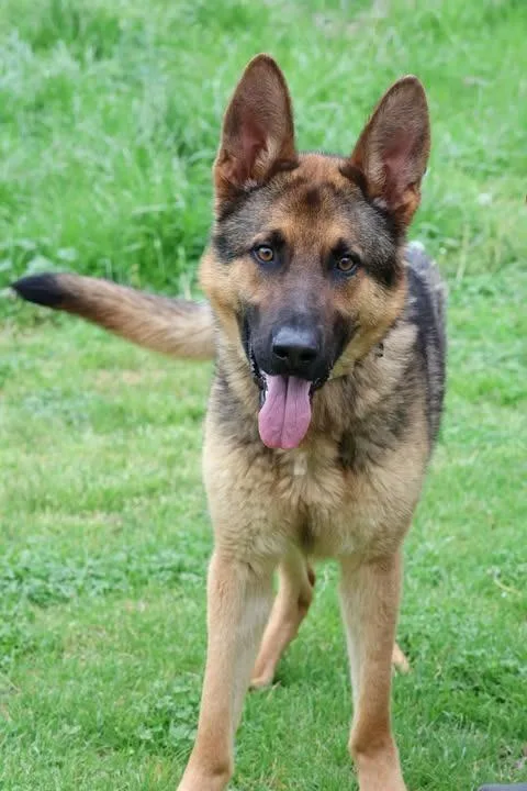 Leonardo thumbnail 2