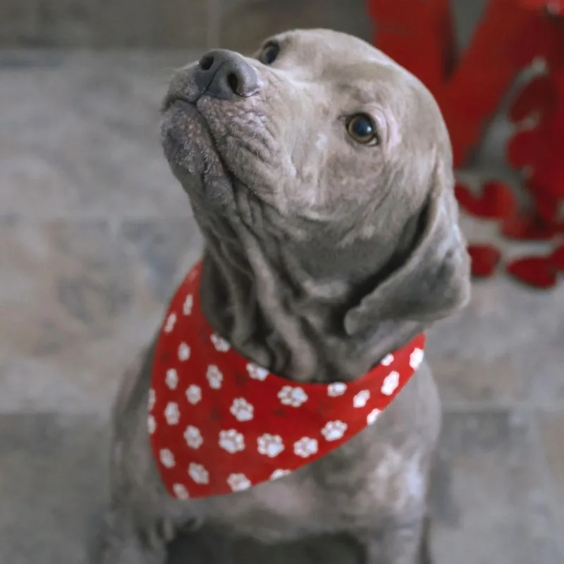 Lola Mae thumbnail 2