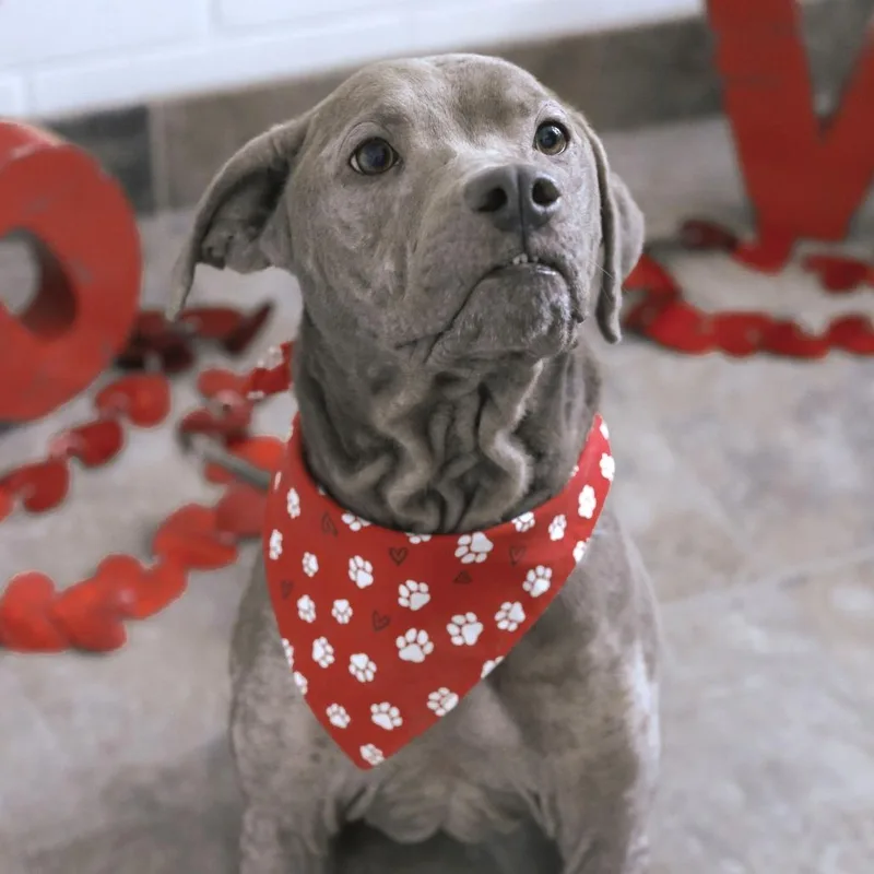 Lola Mae thumbnail 5