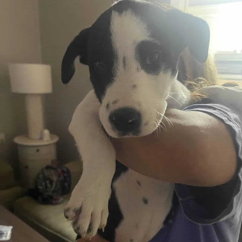 Big Bend thumbnail 2