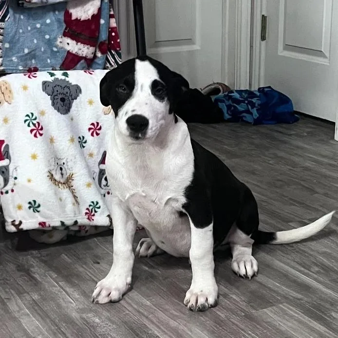 Big Bend thumbnail 4