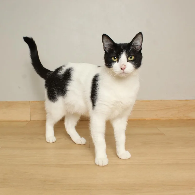 Jamboree C thumbnail 5