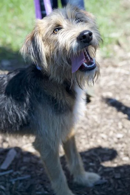 Max