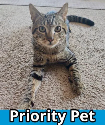 Mr. Magoo  `a thumbnail 2