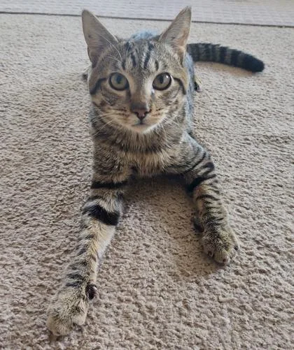 Mr. Magoo  `a thumbnail 3