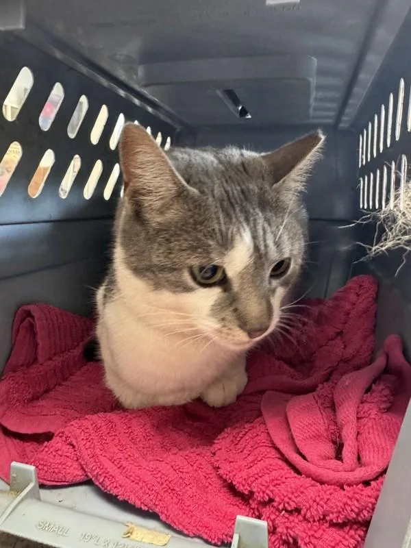 Wakatobi thumbnail 2