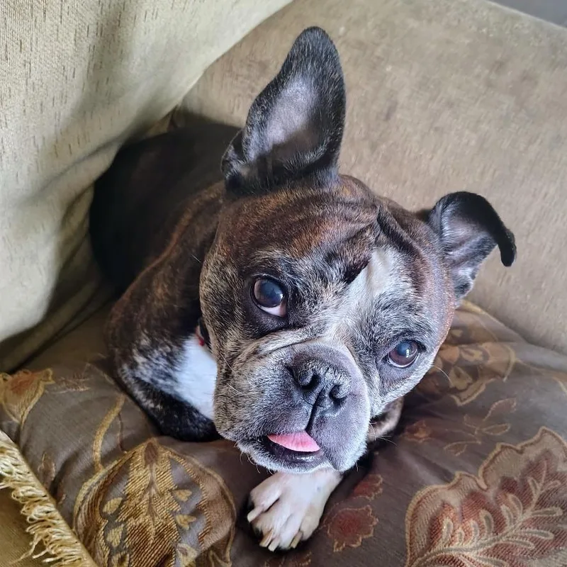 Tucker In Mo thumbnail 2