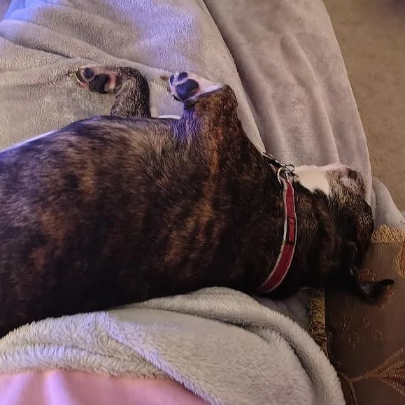 Tucker In Mo thumbnail 3