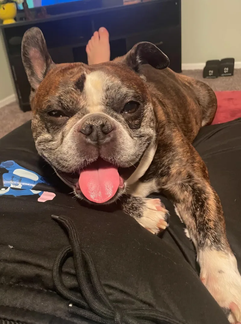 Tucker In Mo thumbnail 4