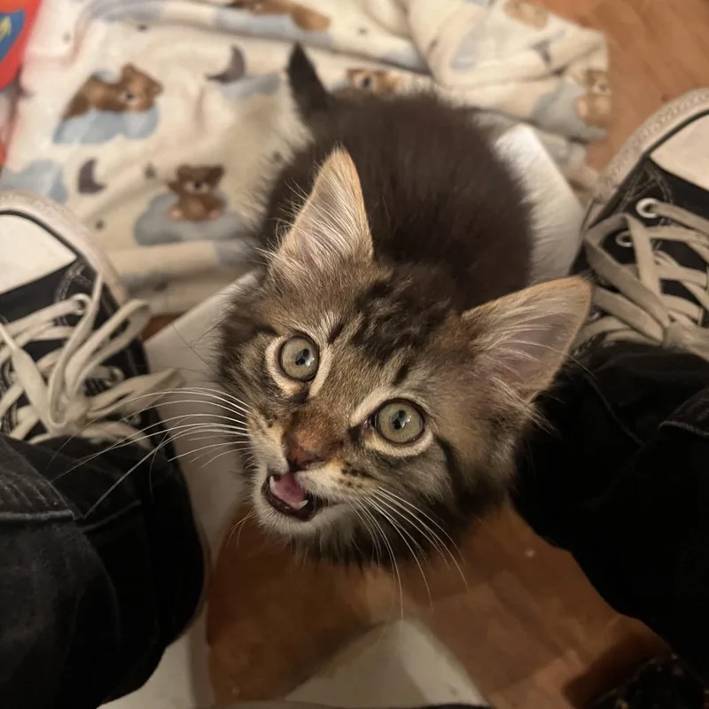 Jason Funderburker thumbnail 2