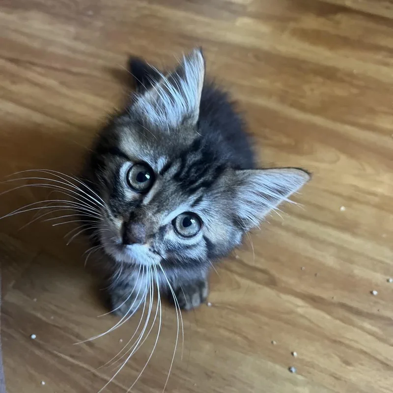 Jason Funderburker thumbnail 3