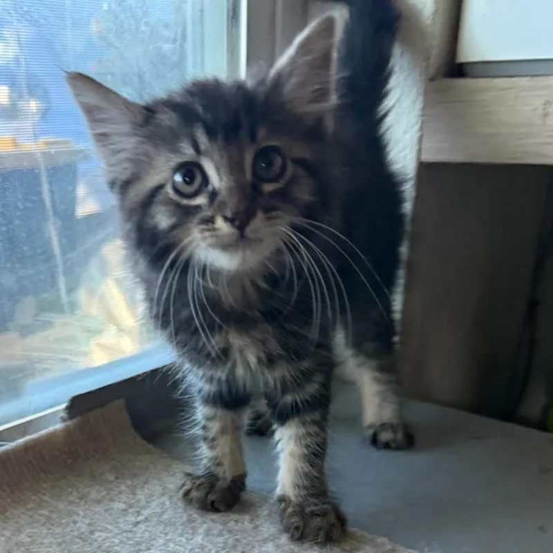 Jason Funderburker thumbnail 4