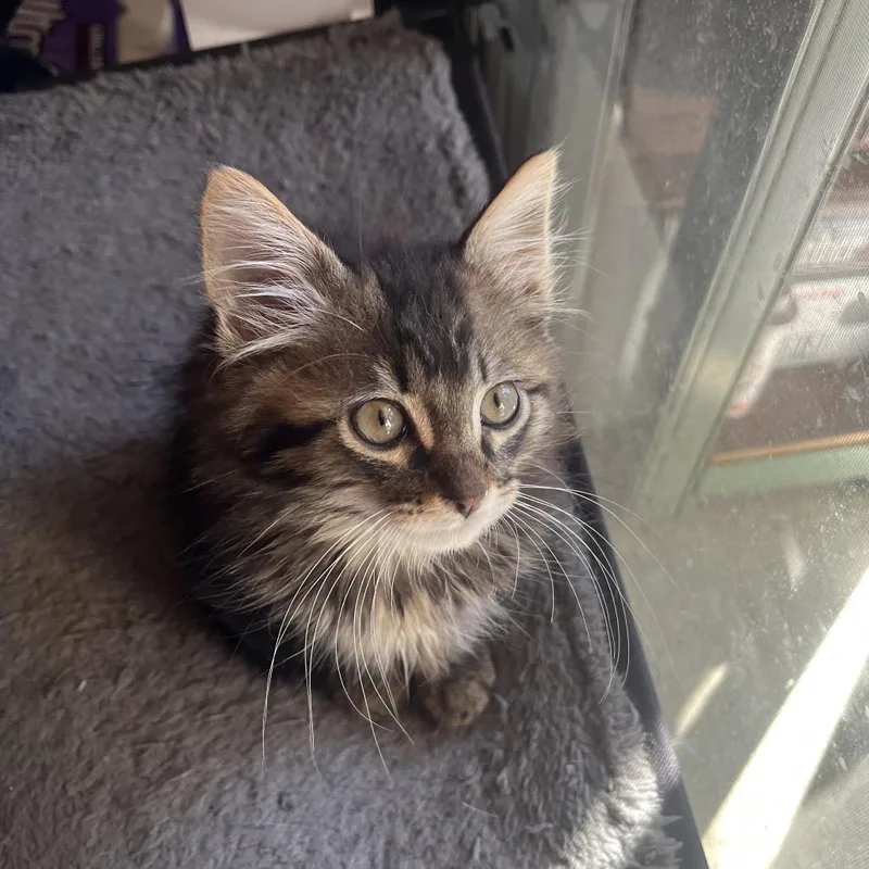 Jason Funderburker thumbnail 5