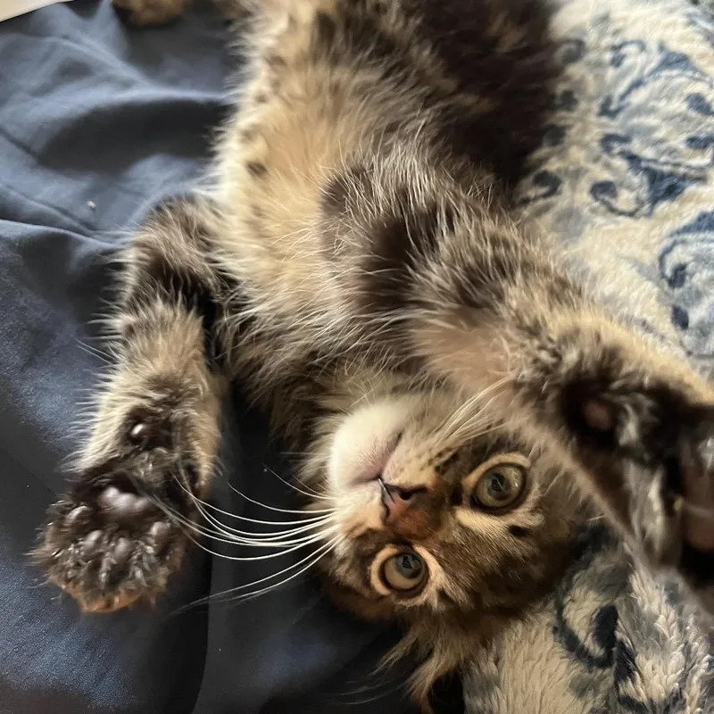 Jason Funderburker thumbnail 6