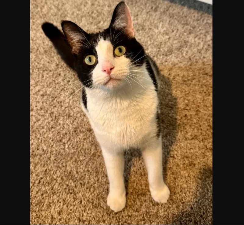 Striker Doyle thumbnail 2