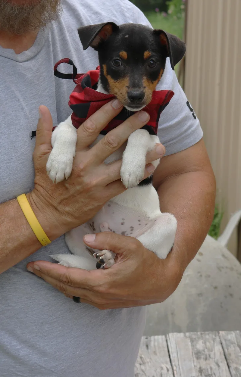 Tucker thumbnail 2