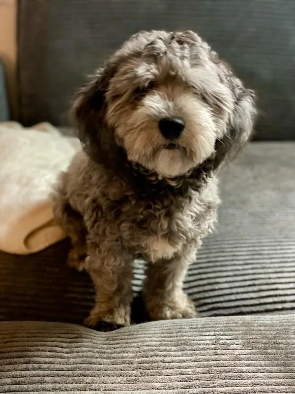 Frank