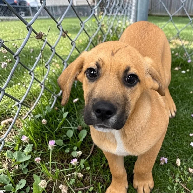 Tater