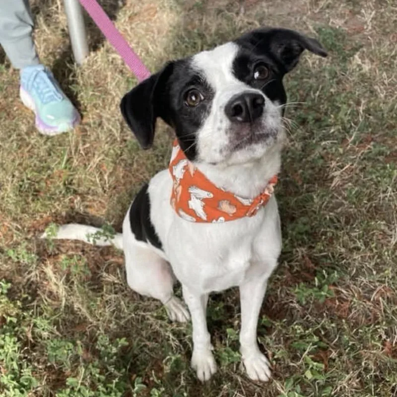 Elizabeth Taylor thumbnail 2