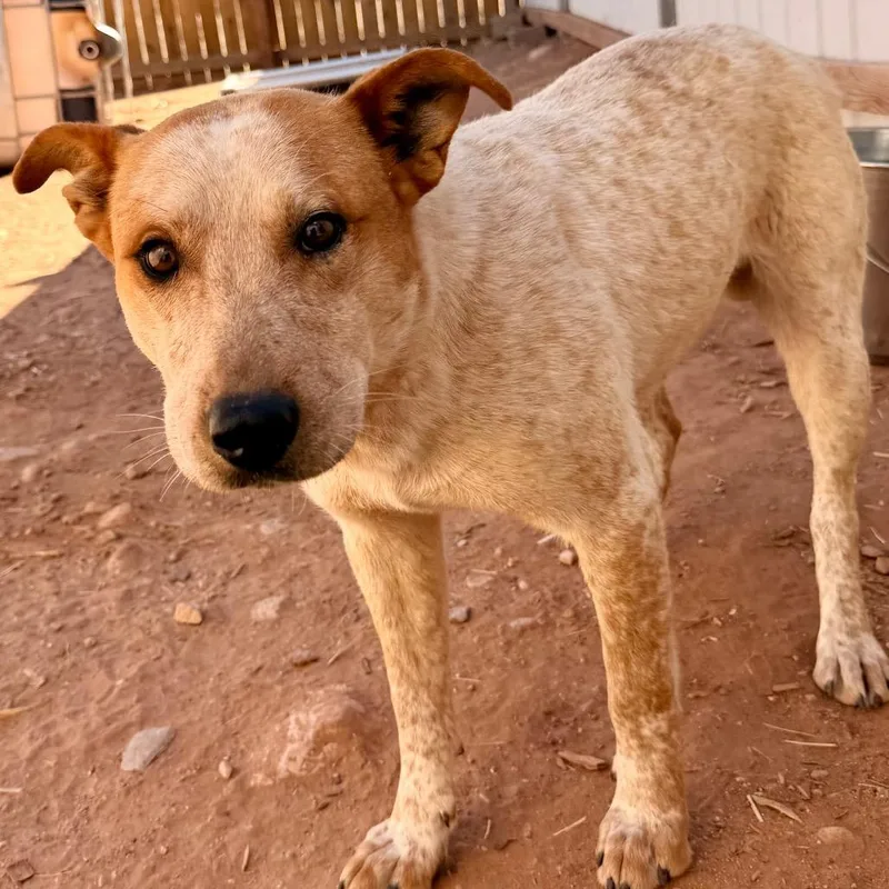 Jake Jake thumbnail 3