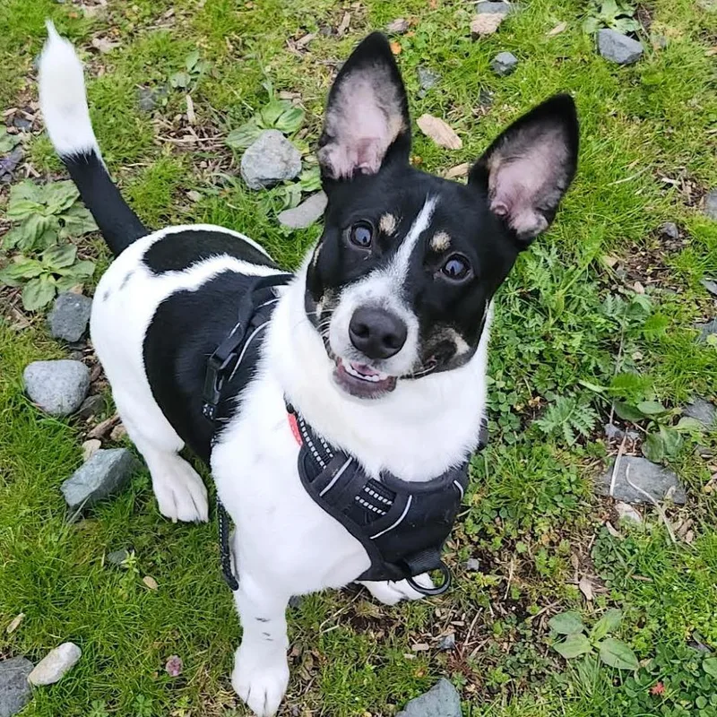 Jax