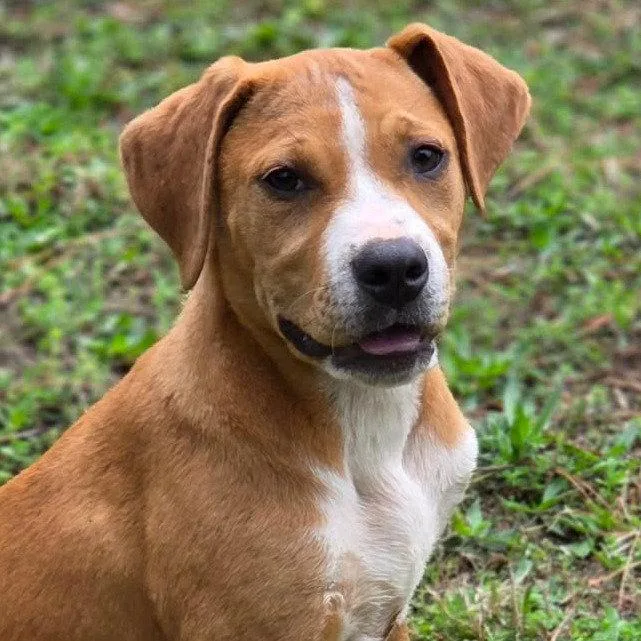 Yorkshire thumbnail 2