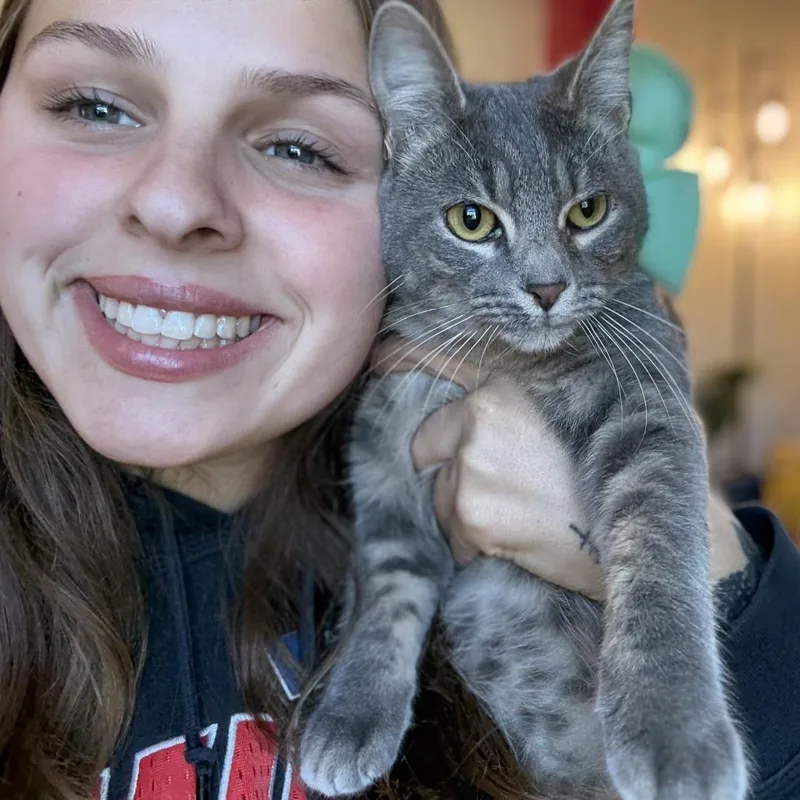 Blueberry Muffin thumbnail 3