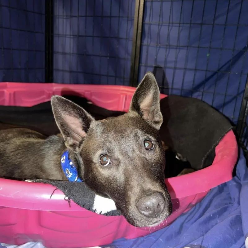 Mercedes thumbnail 2