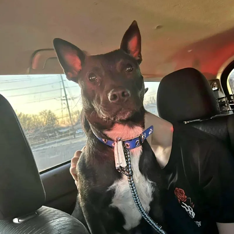 Mercedes thumbnail 3