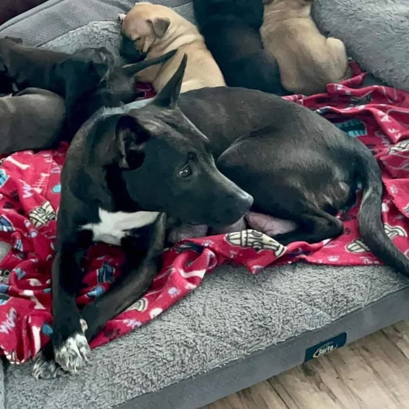 Mercedes thumbnail 4