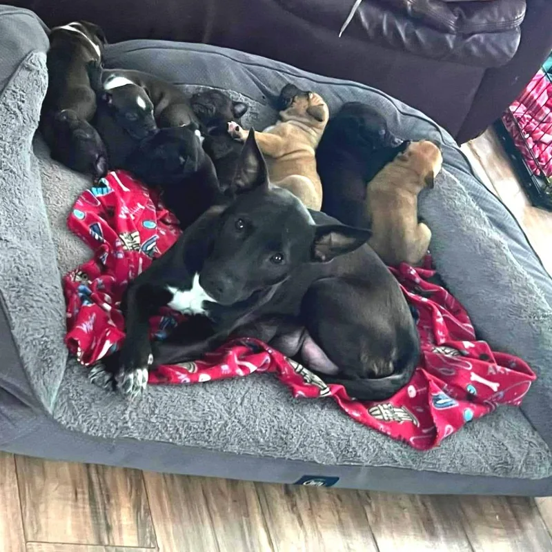 Mercedes thumbnail 6