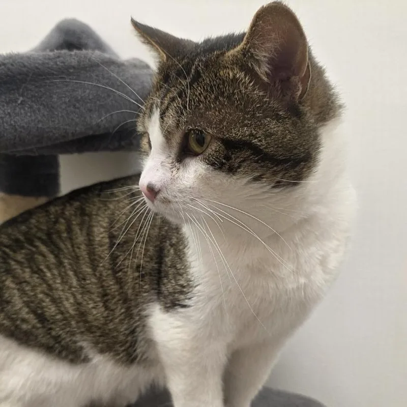 Mickey  Meet Me thumbnail 4