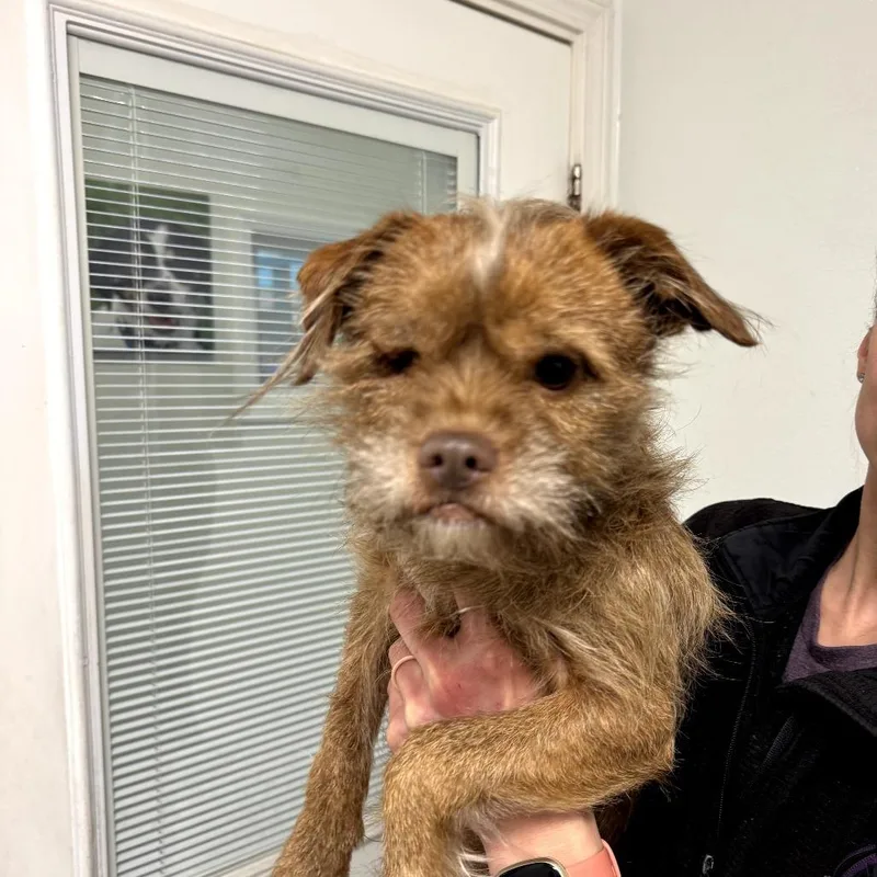 Steve Fka Franz thumbnail 2