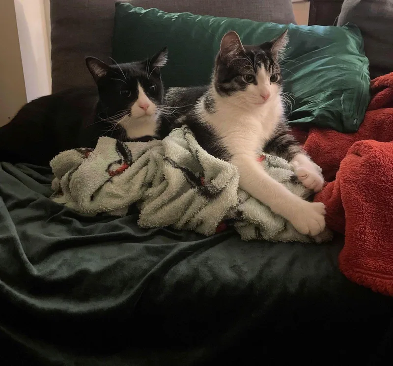 Flip And Kimmie thumbnail 2