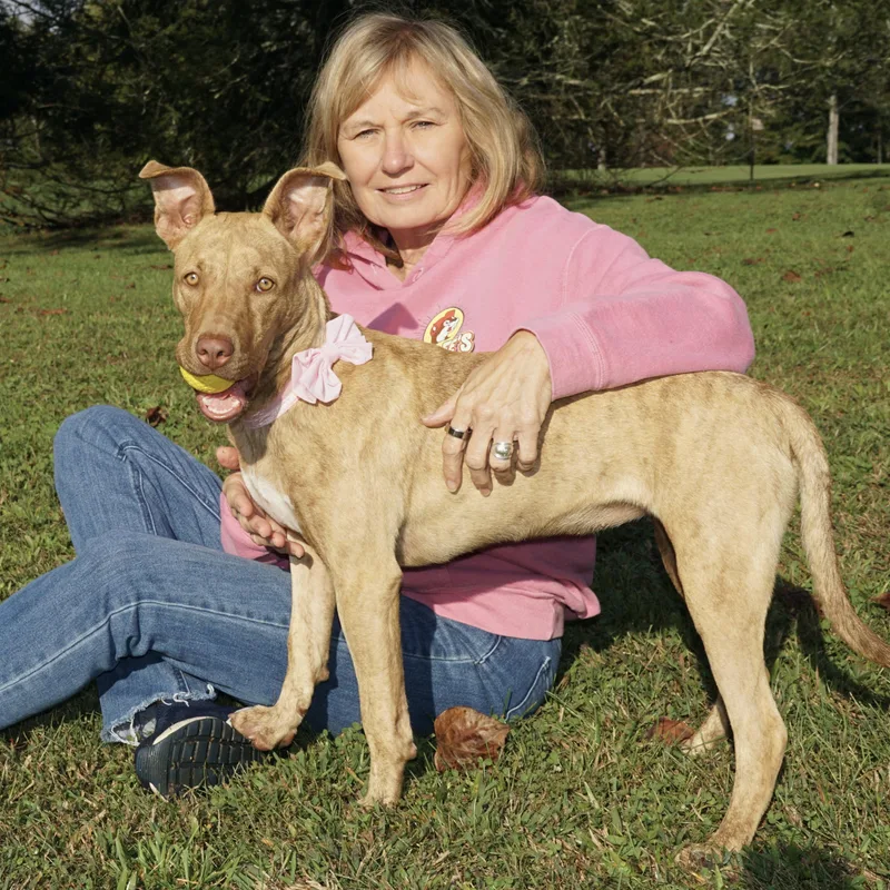 Dixie  S thumbnail 2