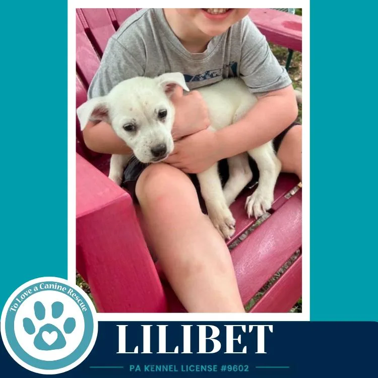 Lilibet thumbnail 2