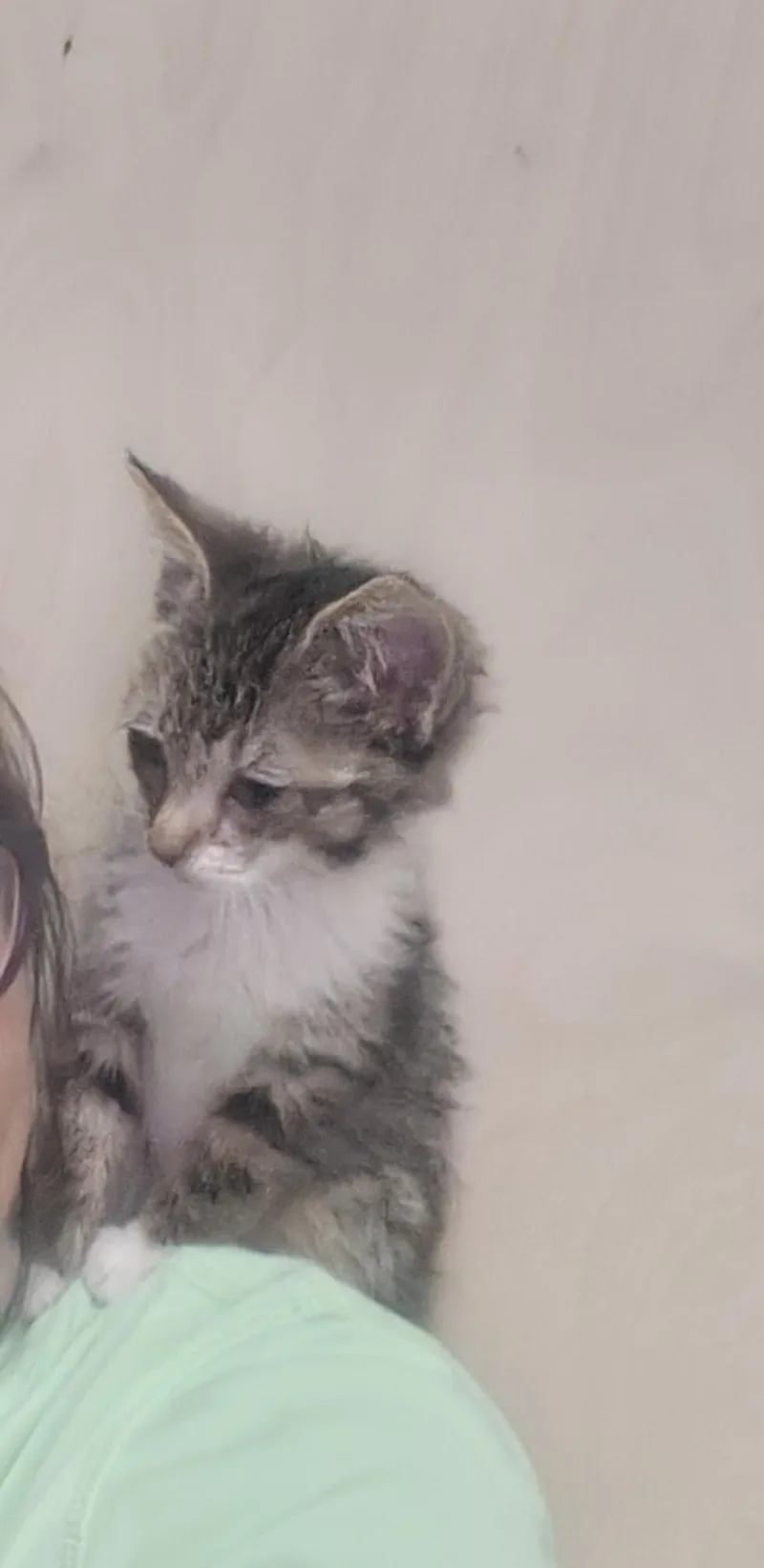 Clyde thumbnail 5