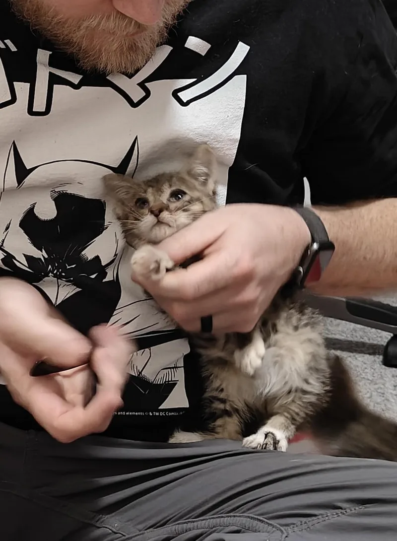 Clyde thumbnail 6