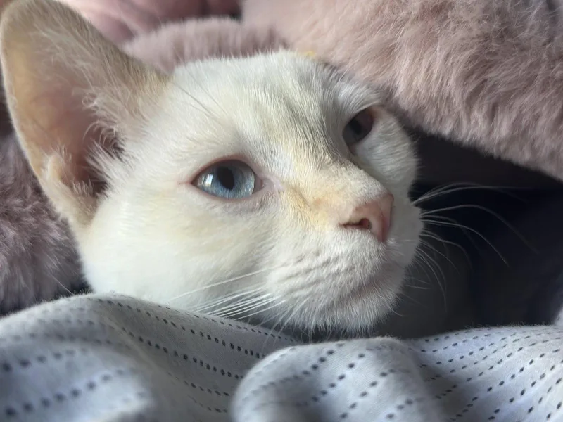 Pumpkin And Mae  thumbnail 2