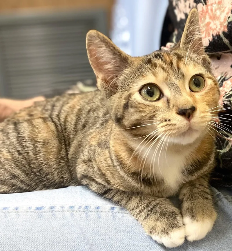 Pumpkin And Mae  thumbnail 3