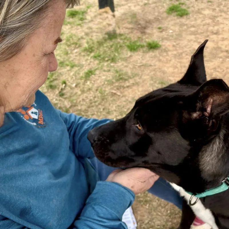 Midnight thumbnail 4