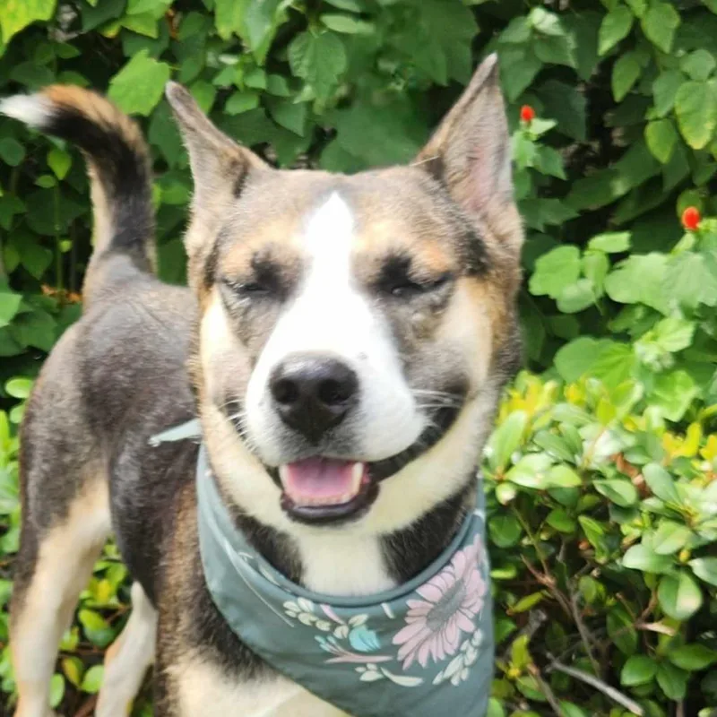 Misty Jum thumbnail 3