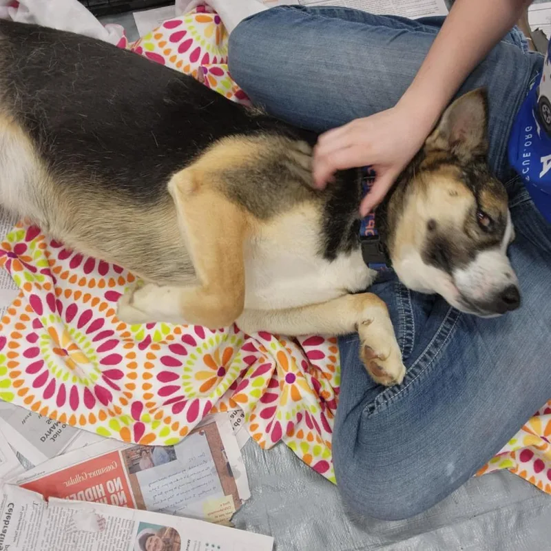 Misty Jum thumbnail 6