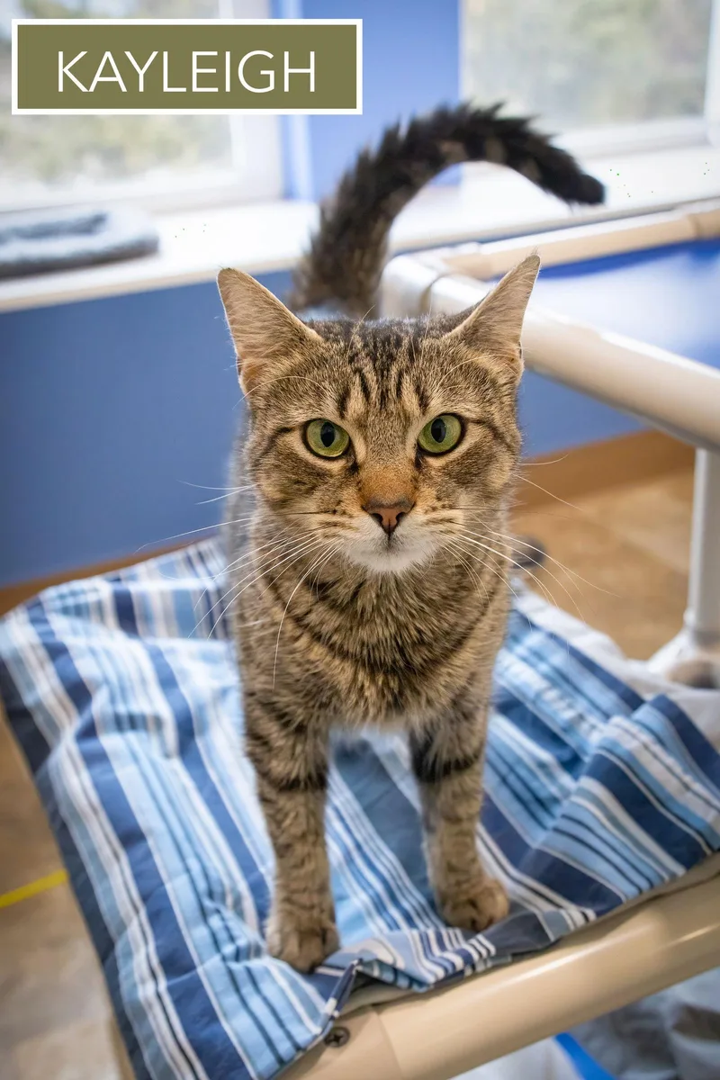 Kayleighc thumbnail 2