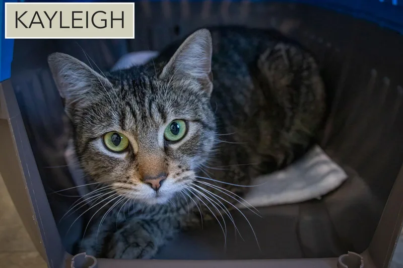 Kayleighc thumbnail 3