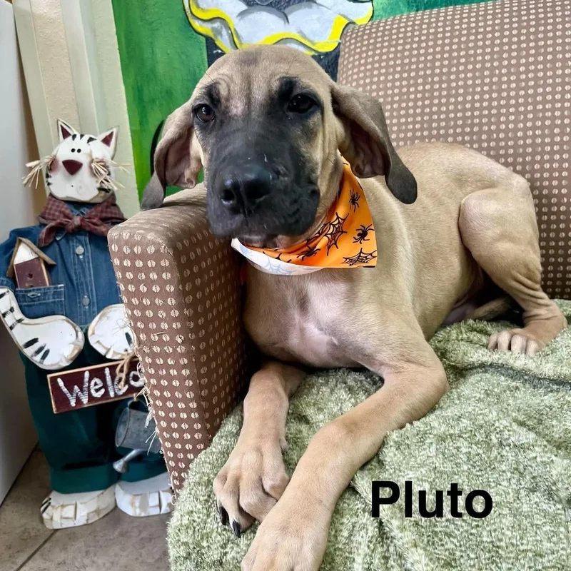 Pluto thumbnail 2