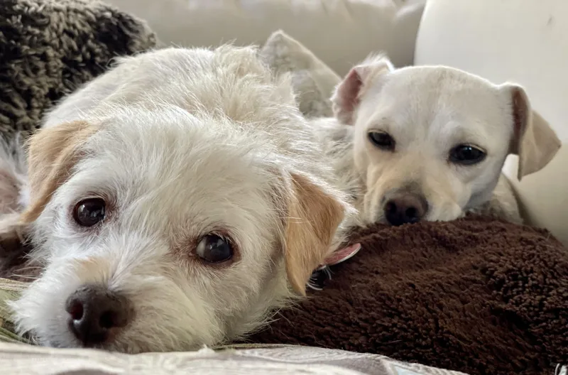 Valerie & Mallory thumbnail 2