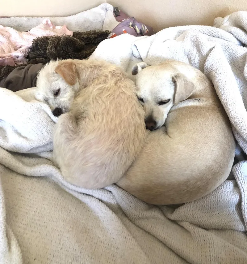 Valerie & Mallory thumbnail 4